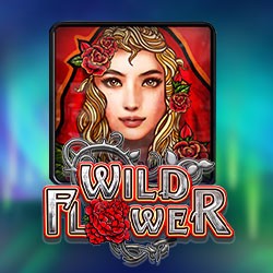 Wild Flower 